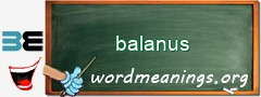 WordMeaning blackboard for balanus